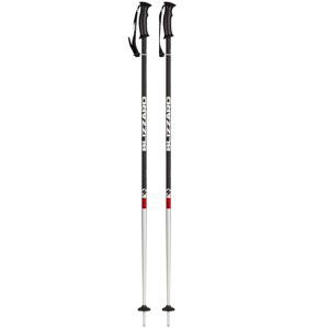 BLIZZARD-Rental junior ski poles Šedá 100 cm 20/21