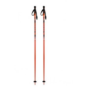 BLIZZARD-Race ski poles Černá 115 cm 2021