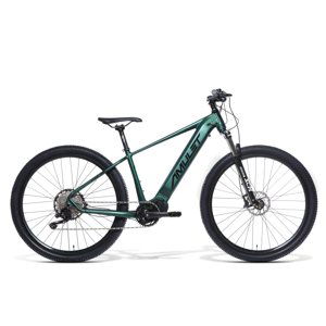 AMULET-29 eRival 5.0 SR, racing green/black Zelená 29" XL 2022