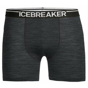 Icebreaker Anatomica Boxers M