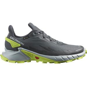 Salomon Alphacross 4 GTX M Velikost: 44 EUR