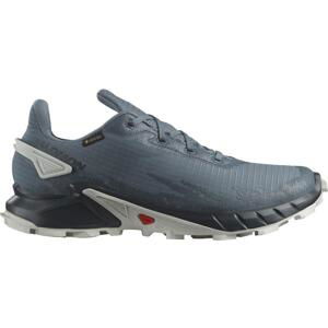 Salomon Alphacross 4 GTX M Velikost: 47 1/3 EUR