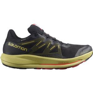 Salomon Pulsar Trail Gore-Tex M Velikost: 44 EUR