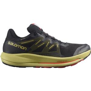 Salomon Pulsar Trail Gore-Tex M Velikost: 45 1/3 EUR