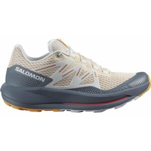 Salomon Pulsar Trail W 39 1/3 EUR