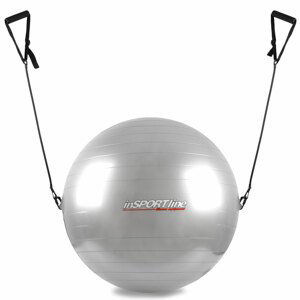 Gymnastický míč inSPORTline s úchyty 55 cm  šedá