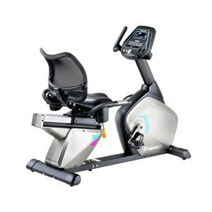 Recumbent Insportline Halimed