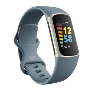 Fitness náramek Fitbit Charge 5 Steel Blue/Platinum Stainless Ste