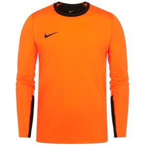 Dres Nike MENS TEAM GOALKEEPER JERSEY LONG SLEEVE