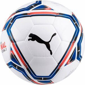 Míč Puma teamFINAL21 Futsal Training Ball