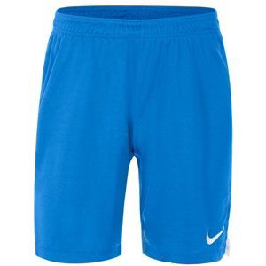 Šortky Nike MENS TEAM SPIKE SHORT