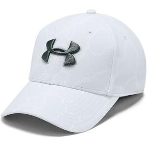 Kšiltovka Under Armour UA Men s Printed Blitzing 3.0