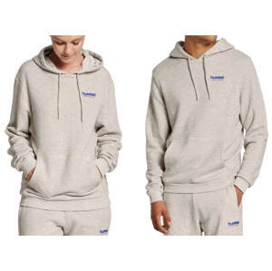 Mikina s kapucí Hummel LGC AUSTIN HOODIE