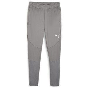 Kalhoty Puma teamFINAL Training Pants