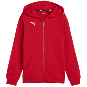 Mikina s kapucí Puma  teamGOAL Casuals Hoodie Kids