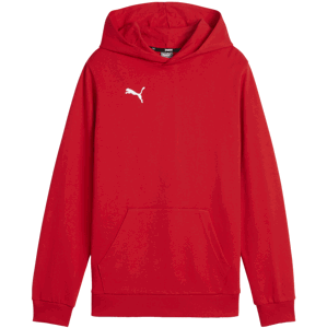 Mikina s kapucí Puma  teamGOAL Casuals Hoody Kids