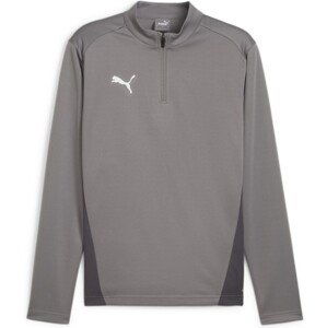 Mikina Puma  teamGOAL Training 1/4 Zip Sweatshirt