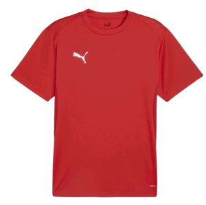 Triko Puma  teamGOAL T-Shirt