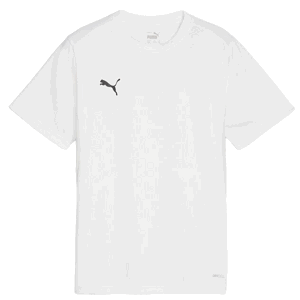 Triko Puma  teamGOAL T-Shirt