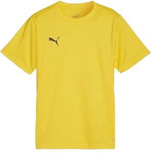 Triko Puma  teamGOAL T-Shirt