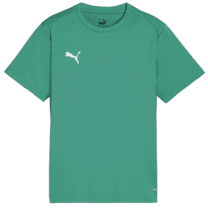 Triko Puma  teamGOAL T-Shirt