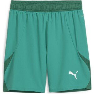 Šortky Puma teamFINAL Shorts