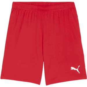 Šortky Puma teamGOAL Shorts