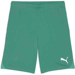 Šortky Puma teamGOAL Shorts