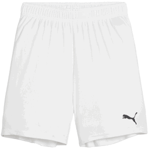 Šortky Puma teamGOAL Shorts Jr