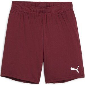 Šortky Puma teamGOAL Shorts Jr