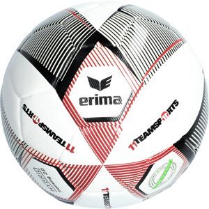 Míč Erima Erima Hybrid 2.0 Trainingsball 11TS