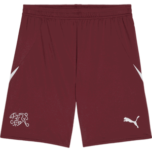 Šortky Puma SFV Shorts Replica 2024