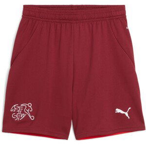 Šortky Puma SFV Shorts Replica Jr 2024