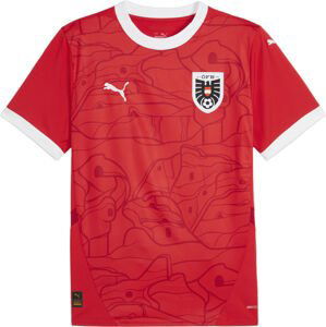 Dres Puma ÖFB HOME Jersey Replica 2024