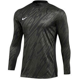 Dres s dlouhým rukávem Nike M NK DF GARDIEN V GK JSY LS