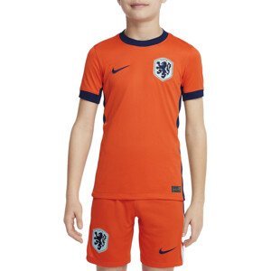 Dres Nike KNVB YNK DF STAD JSYSS HM LION 2024