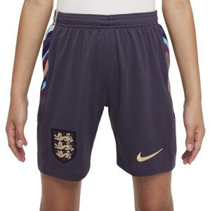 Šortky Nike ENT Y NK DF STAD SHORT AW 2024