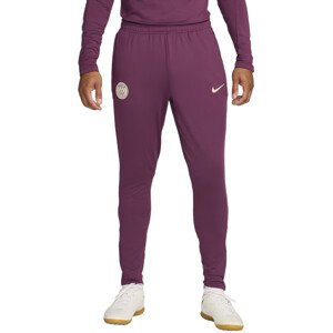 Kalhoty Nike PSG M NK DF STRK PANT KPZ