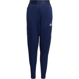 Kalhoty adidas CON21 TR PNT Y