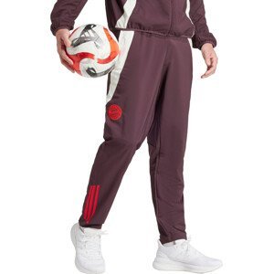 Kalhoty adidas FCB PRE PNT