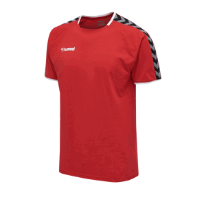 Triko Hummel AUTHENTIC TRAINING TEE