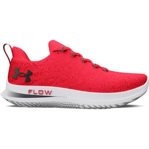 Běžecké boty Under Armour UA W Velociti 3