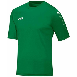 Dres Jako jako team jersey  kids