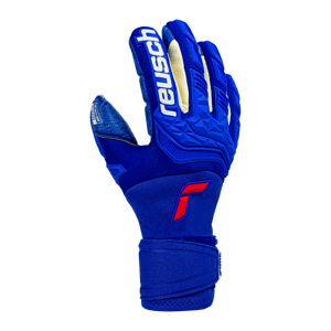 Brankářské rukavice Reusch Reusch Attrakt Freegel Fusion TW