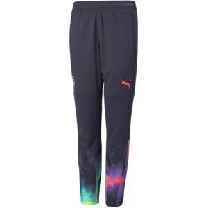 Kalhoty Puma NEYMAR JR 24/7 Training Pant Jr