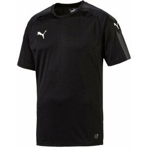 Triko Puma Ascension Training Tee