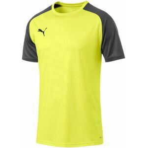 Dres Puma CUP Training Jersey Core