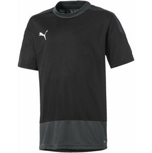 Dres Puma teamGOAL 23 Training Jersey