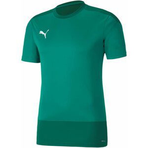 Dres Puma teamGOAL 23 Training Jersey