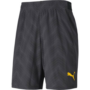 Šortky Puma ftblNXT Graphic Short